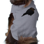 Brown-headed Cowbird Pet Tee Shirt