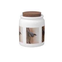 Brown-headed Nuthatch Candy Jars