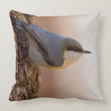 Brown-headed Nuthatch Pillow
