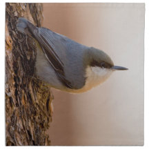 Brown-headed Nuthatch Printed Napkins
