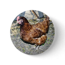 Brown Hen On The Back Yard buttons by lifesphere Brown Hen On The Back Yard buttons