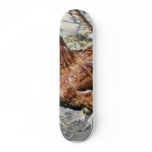 Brown Hen On The Back Yard Skate Board Decks