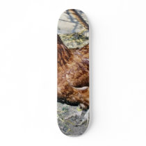 Brown Hen On The Back Yard Skate Board Decks