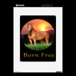 Brown Horse designs Sunset skins