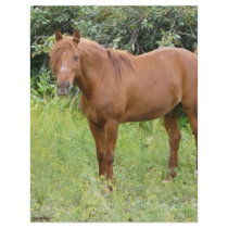 brown horse flyer design
