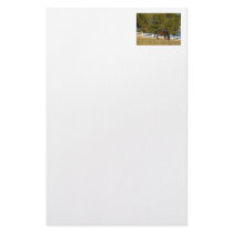 Brown Horse Grazing Stationery Paper