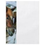 Brown Horse in Stall Flyer