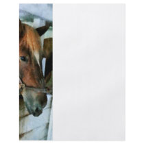 Brown Horse in Stall Flyer