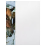 Brown Horse in Stall Letterhead Template