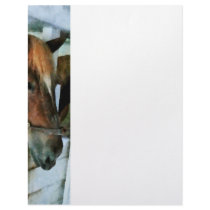 Brown Horse in Stall Letterhead Template