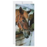 Brown Horse in Stall Personalized Rack Card