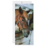 Brown Horse in Stall Personalized Rack Card