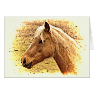 Brown Horse in Sun Blank Card