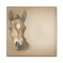 BROWN-HORSE magnets