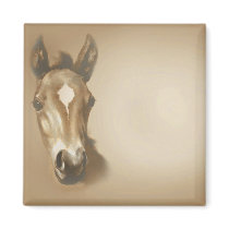 BROWN-HORSE magnets