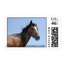 Brown horse stamps