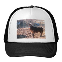 Brown Horse Trucker Hats