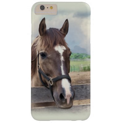 Brown Horse with Halter Barely There iPhone 6 Plus Case