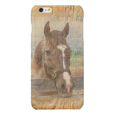 Brown Horse with Halter on Old Wood Glossy iPhone 6 Plus Case