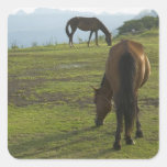 Brown Horses (2) Square Sticker