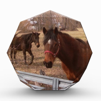 Brown Horses