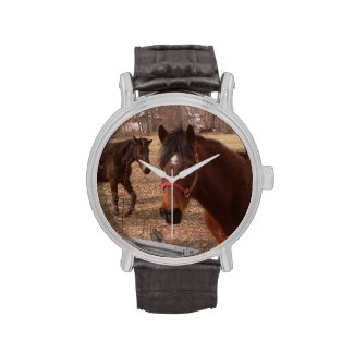 Brown Horses Watches