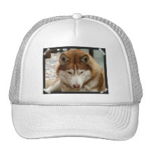 Brown Husky Baseball Hat