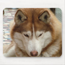 Brown Husky Mouse Pad