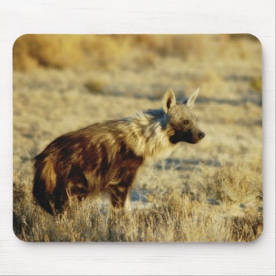 Brown hyena wildlife mousepads by Rowood