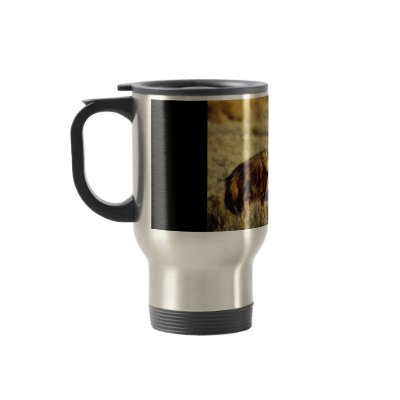 Brown hyena wildlife mugs by Rowood