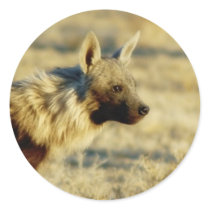 Brown hyena wildlife stickers by Rowood Brown hyena wildlife stickers