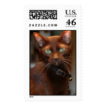 Brown Kitty stamp 1
