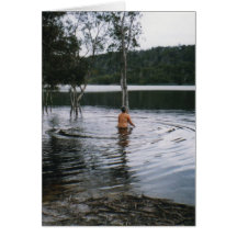 Brown Lake Greeting Cards