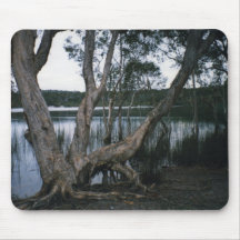 Brown Lake Mouse Pads