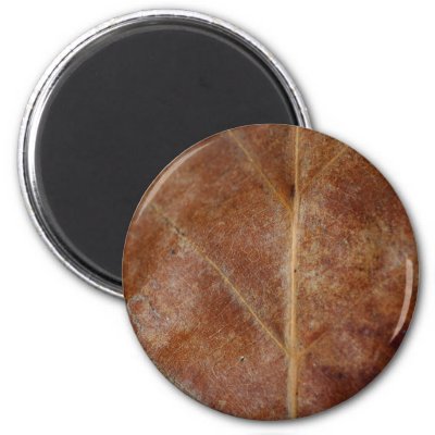 Brown Leaf Leaves Tree Refrigerator Magnet