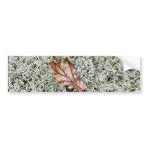 Brown Leaf On Sphagnum Moss bumper stickers by lifesphere Brown Leaf On Sphagnum Moss bumper stickers
