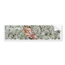 Brown Leaf On Sphagnum Moss bumper stickers by lifesphere Brown Leaf On Sphagnum Moss bumper stickers