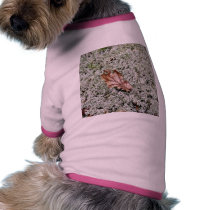 Brown Leaf On Sphagnum Moss pet clothing