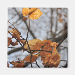 Brown leaves fridge magnets