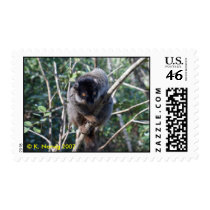 Brown Lemur, Madagascar postage by krisfiddle Brown Lemur, Madagascar postage