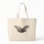 Brown & Lesser Long-eared bats bags