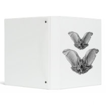 Brown & Lesser Long-eared bats Vinyl Binder