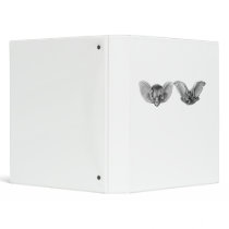 Brown & Lesser Long-eared bats Binders