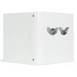 Brown & Lesser Long-eared bats binders