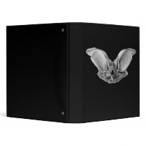 Brown & Lesser Long-eared bats Binder
