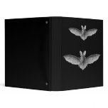 Brown & Lesser Long-eared bats binders