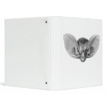 Brown & Lesser Long-eared bats binders