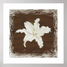 Brown Lily print