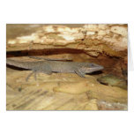 Brown Lizard in Tree