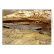 Brown Lizard in Tree cards by rkester Brown Lizard in Tree cards